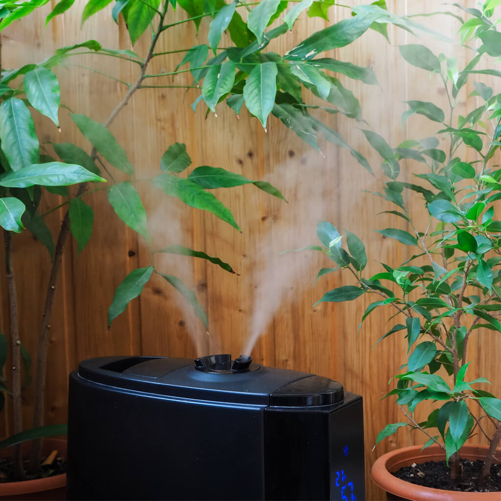Dyson Humidifier Reviews