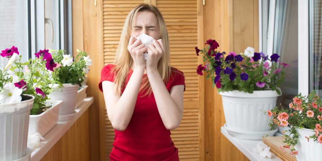 Best Air Purifiers for Allergies | HEPA