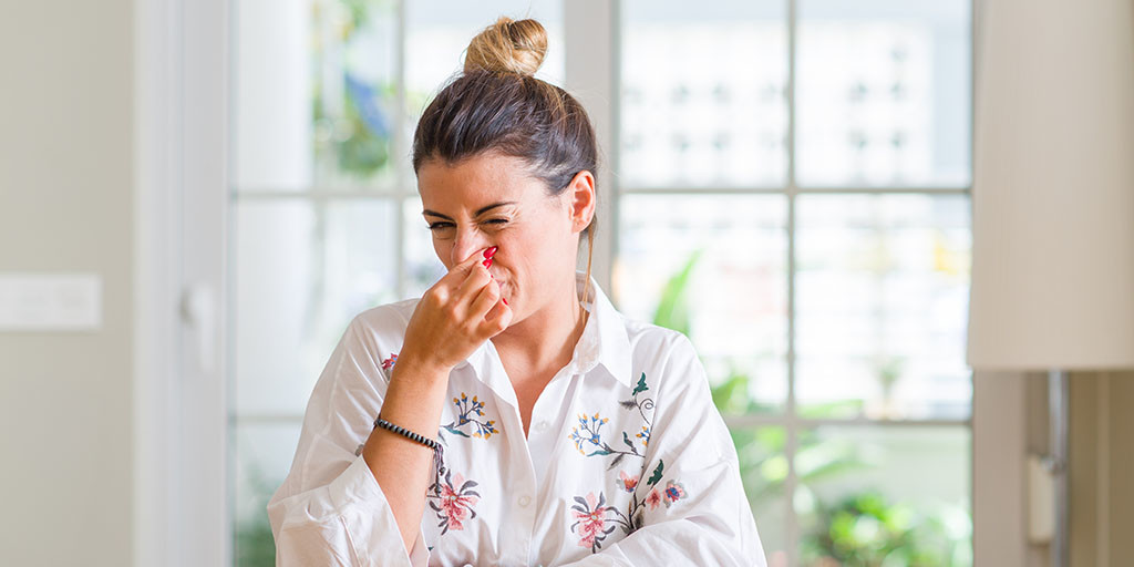 Best Ozone Generator for Odors