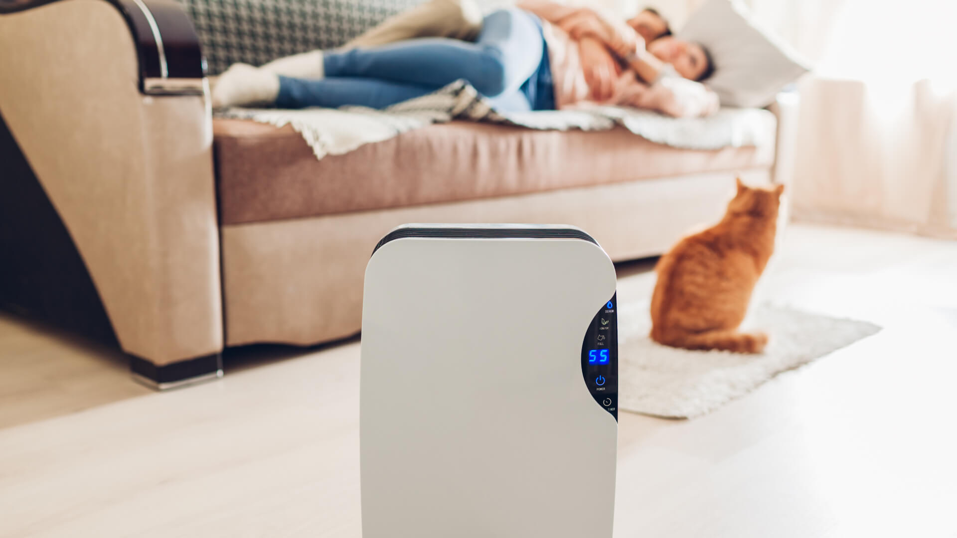 The Best Air Purifiers To Keep You & Your Family Healthy 2024 HowtoHome